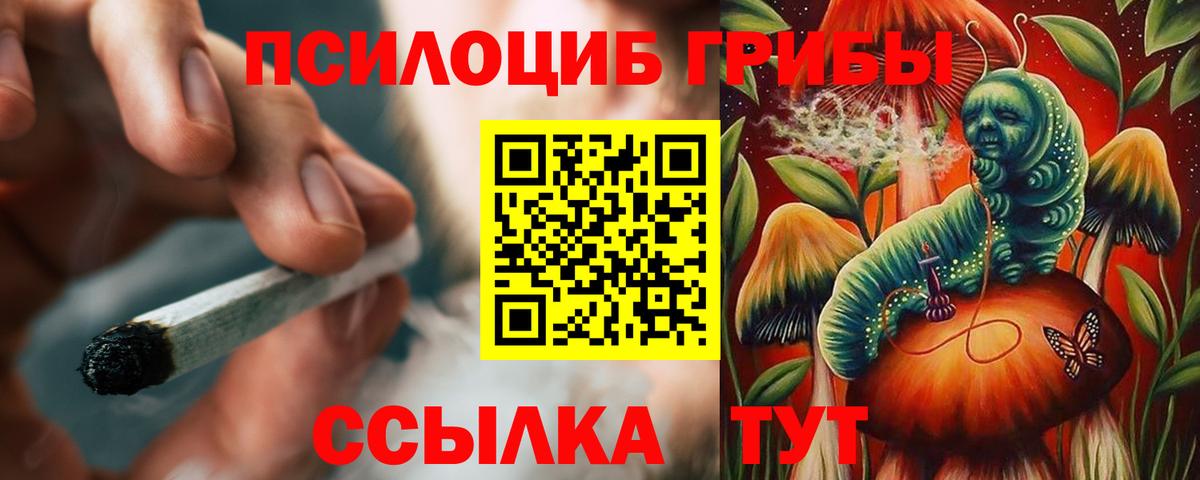Псилоцибиновые грибы мухоморы  Псилоцибиновые грибы ЛСД  Вход с VPN  Кудымкар 